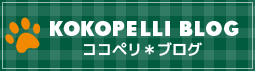 KOKOPELLI BLOG �R�R�y���u���O