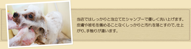 ���X�ł͂�������ƖA���Ă��V�����v�[�ŗD�����􂢏グ�܂��B�畆���т����߂邱�ƂȂ���������Ɖ���𗎂Ƃ��̂ŁA�d�オ��A��G�肪�Ⴂ�܂��B