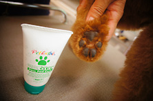 �����P�A